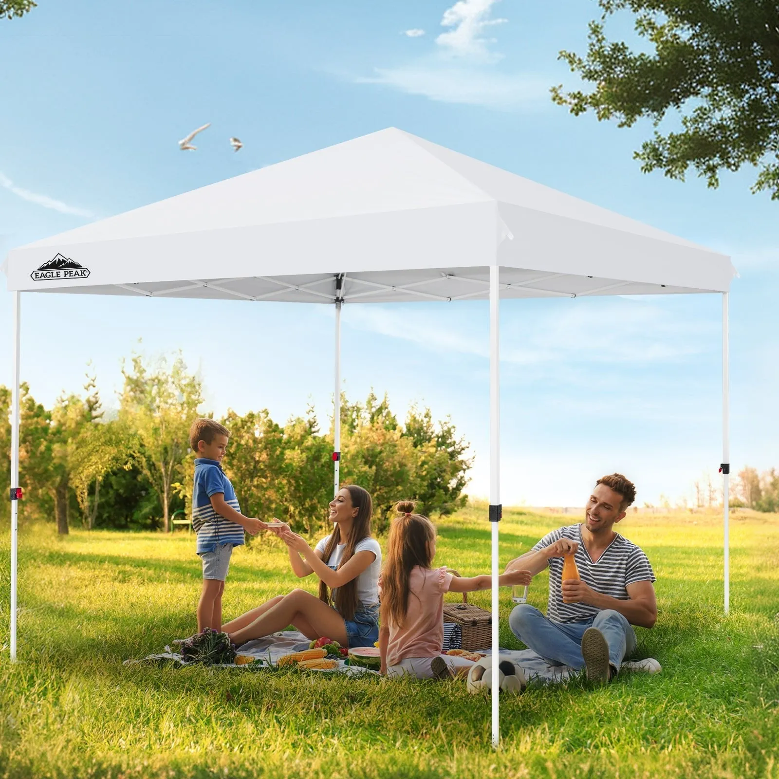 10x10 Outdoor Pop up Straight Leg Canopy with Wheeled Carry Bag